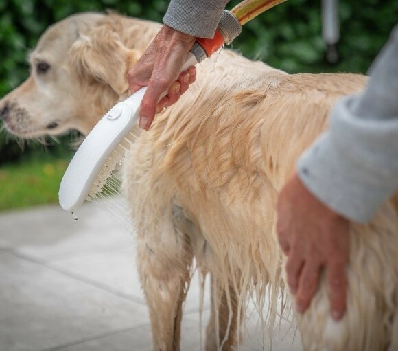 Hansgrohe душ для собак с массажной струей, DogShower, матовый белый арт. 26640700