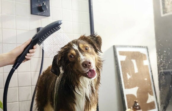 Hansgrohe душ для собак с массажной струей, DogShower, матовый белый арт. 26640700