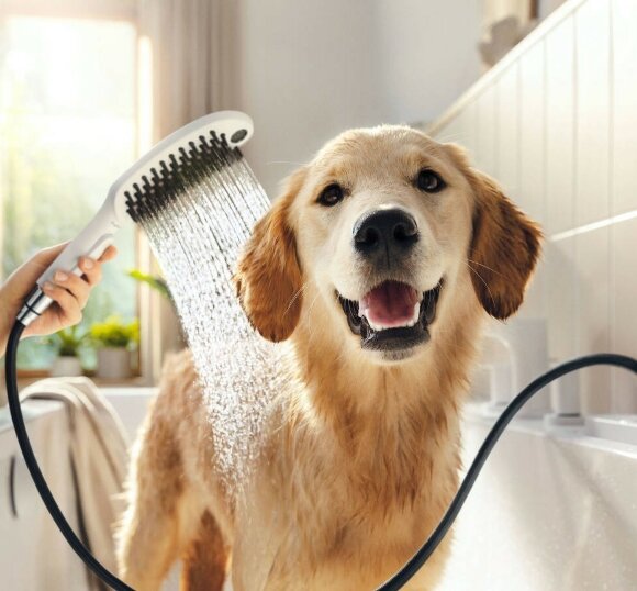 Hansgrohe душ для собак с массажной струей, DogShower, матовый белый арт. 26640700