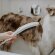 Hansgrohe душ для собак с массажной струей, DogShower, матовый белый арт. 26640700