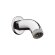 Hansgrohe душевой кронштейн настенный 100 мм, глянцевый хром арт. 27438000