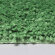 Коврик для ванной Dill BM-3923 Medium Green  WasserKRAFT цвет: Зеленый