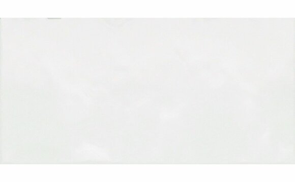 Настенная плитка Alma Ceramica Monocolor 24,9x50 арт. TWU09MNR030 Россия