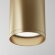 Потолочный светильник Maytoni Technical Focus C010CL-01MG цвет: золото