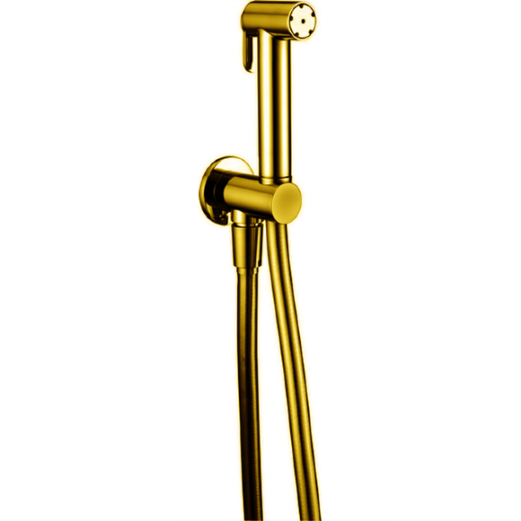 Гидроершик со шлангом 120 см,вывод с держателем CISAL Shower цвет: золото арт. A300791024 Акция