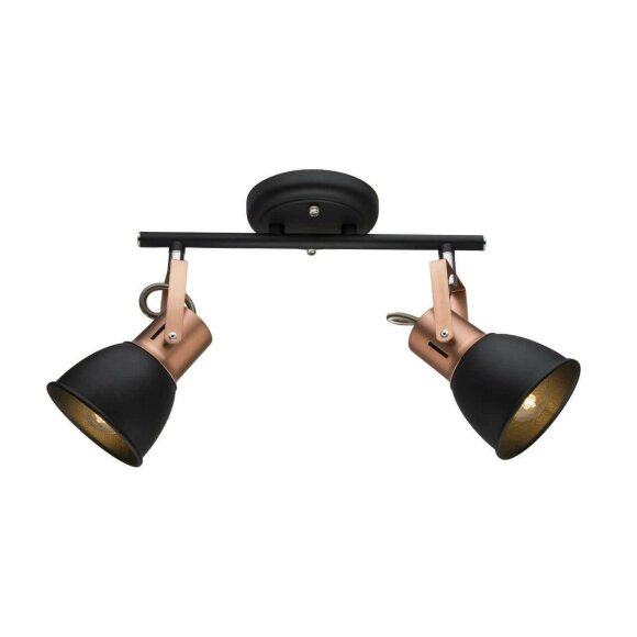 Спот, вид лофт 1677 Arte Lamp цвет:  черный - A1677PL-2BK