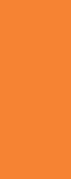 7104T Керамическая плитка 20x50 Городские цветы оранжевый матовый в Москве