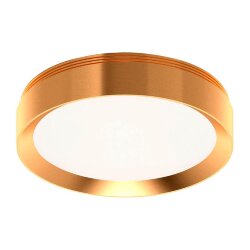 Насадка передняя для корпуса светильника PYG N8124, Ambrella light цвет: золотой Насадка передняя для корпуса светильника PYG N8124, Ambrella light цвет: золотой