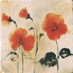 Декор Inserto Style 20x20 SERENISSIMA CIR арт. 66567901 Декор Inserto Style 20x20 SERENISSIMA CIR арт. 66567901