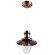 Подвесной светильник, вид хай-тек Fisherman Arte Lamp цвет:  бронза - A5518SP-1RB