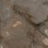 Керамогранит Reves De Rex Choco Glossy 6mm 120x120 Rex арт. 769908