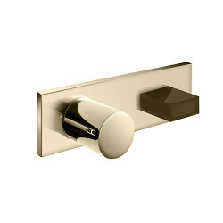 Встраиваемый смеситель для душа VENEZIA (наружная часть), matt british gold pvd FANTINI - 29P6N385SB