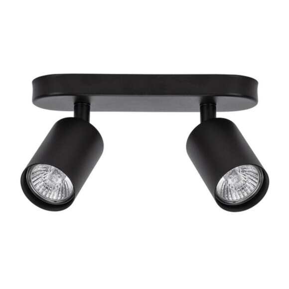 Спот, вид современный Aquarius Arte Lamp цвет:  черный - A3226PL-2BK