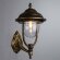 Уличный настенный светильник, вид замковый Barcelona Arte Lamp цвет:  бронза - A1481AL-1BN