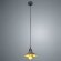 Подвесной светильник, вид морской 5067 Arte Lamp цвет:  серый - A5067SP-1GY