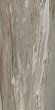 Керамогранит Etoile Tropical Mat Ret 40x80 Rex арт. 761686