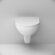 Унитаз подвесной FlashClean с сиденьем микролифт Gem AM.PM, арт. C901700SC цвет: белый