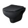 Унитаз подвесной FlashClean с сиденьем микролифт X-Joy AM.PM, арт. C85A1700MBSC цвет: черный матовый