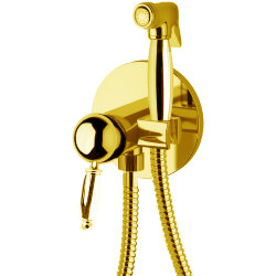 Гигиенический душ Daniel Retro RT645AU-DO со смесителем на хол./гор. воду, цвет: золото Гигиенический душ Daniel Retro RT645AU-DO со смесителем на хол./гор. воду, цвет: золото