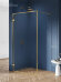 Душевое ограждение 50x200 Avexa gold New Trendy брашированное золото арт. EXK-3130