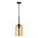 Подвесной светильник, вид современный Paio Arte Lamp цвет:  янтарный - A7015SP-1BK