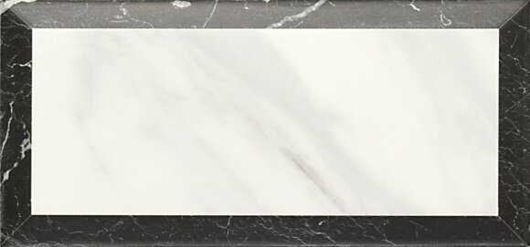 Купить Керамогранит Metropolitain Museum White Brillo 219687 плитка 20х10 (Испания) ZYX в Москве