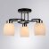 Потолочная люстра, вид классика Krit Arte Lamp цвет:  белый - A4505PL-3BK
