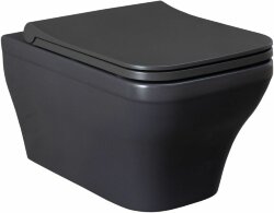 Чаша подвесного унитаза Infinity Allen Brau 4.21011.AN цвет: антрацит