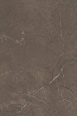 8316 Керамическая плитка 20x30 Эль-Реаль коричневый глянцевый 8316 Керамическая плитка 20x30 Эль-Реаль коричневый глянцевый